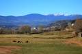 Blick zur�ck auf La Seu d'Urgell bei Alas, Cerdanya, Katalonien - img_1542_3.jpg